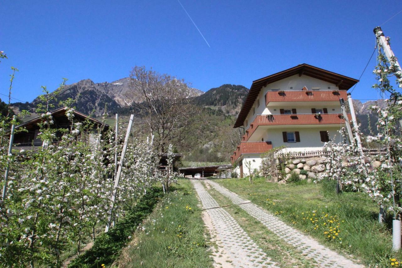 شقة Mareinhof - Urlaub Auf Dem Apfelbauernhof بارشينيس المظهر الخارجي الصورة